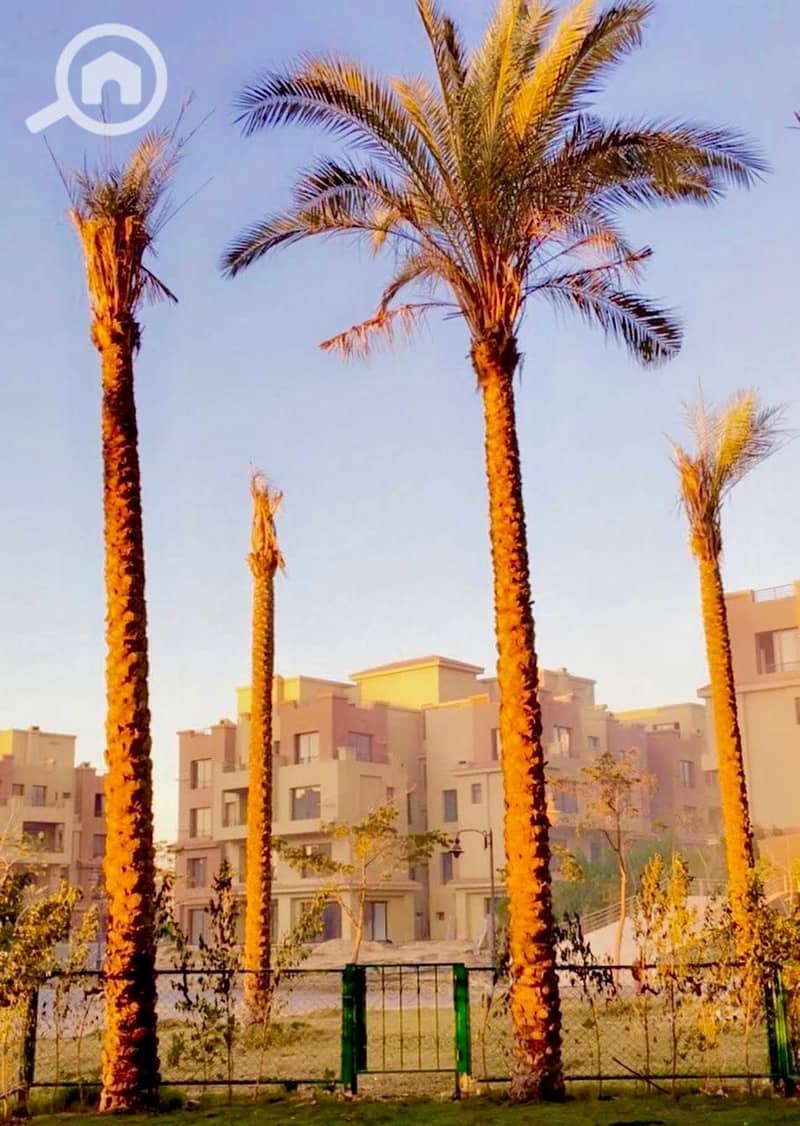 5 WhatsApp Image 2026-01-22 at 5.47. 43 PM (1). jpeg