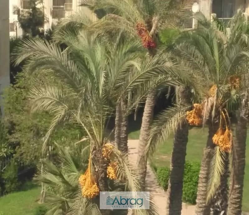 10 7725757-45d85o. jpg