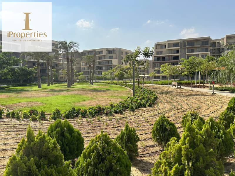 10 616847451_2290584318085273_86944763004646079_n. jpg