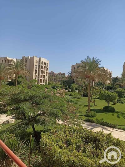 فلیٹ 2 غرفة نوم للبيع في القاهرة الجديدة، القاهرة - IMG_3365. jpg فلیٹ 2 غرفة نوم للبيع في القاهرة الجديدة، القاهرة - IMG_3365. jpg