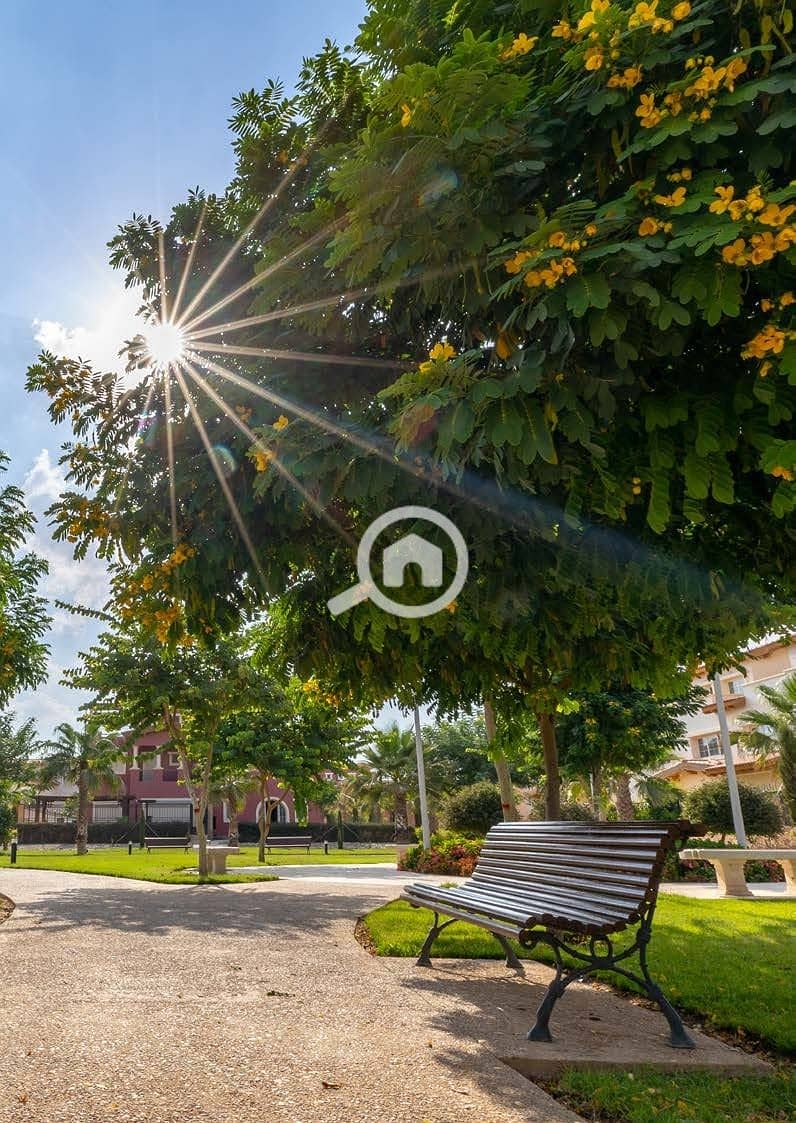 6 WhatsApp Image 2026-01-27 at 16.25. 31. jpeg