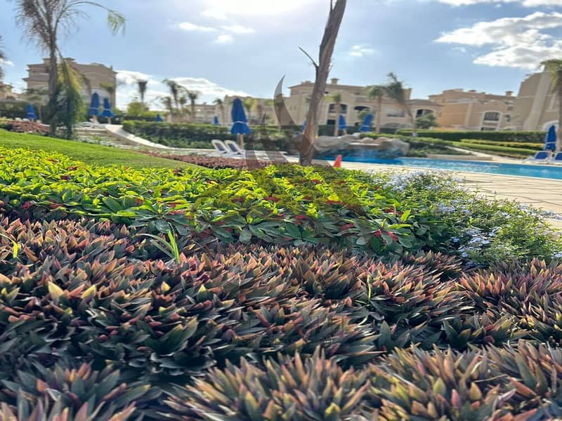 6 WhatsApp Image 2024-12-10 at 11.03. 59 AM. jpeg