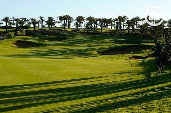 4 WhatsApp Image 2026-01-20 at 14.11. 21. jpeg