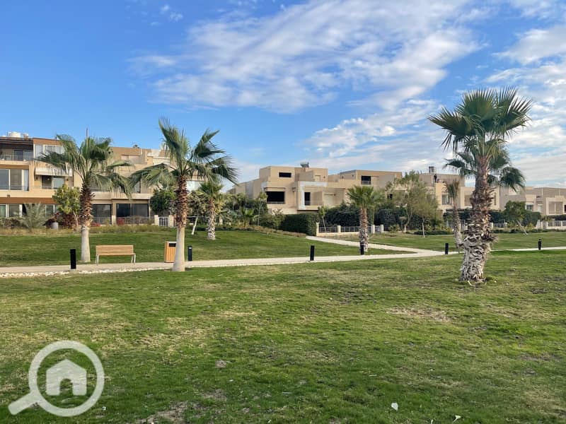 3 IMG_6444_Moheb_Botros (1). jpeg