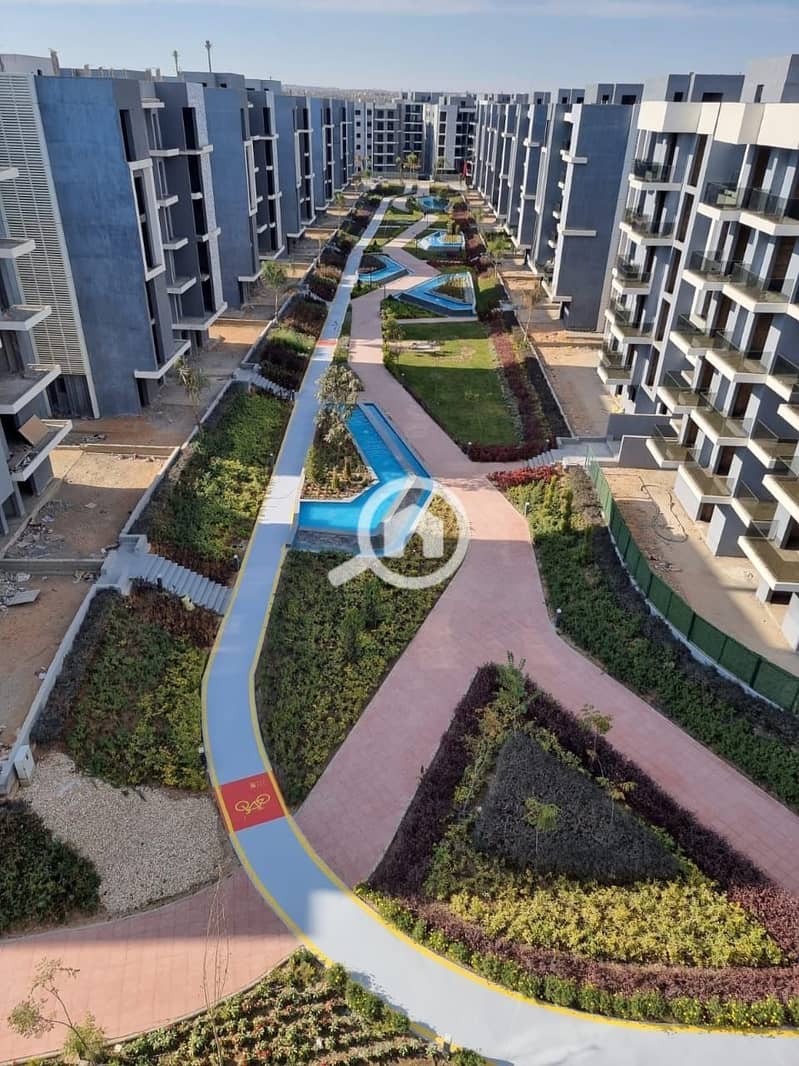 2 photo_36_2026-01-25_17-21-51. jpg