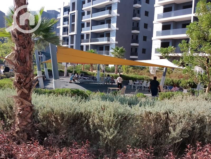 8 photo_6_2026-01-25_17-21-51. jpg