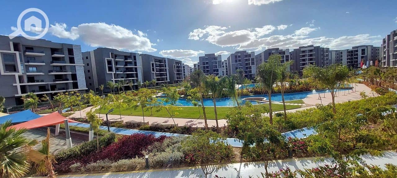 11 photo_37_2026-01-25_17-21-51. jpg