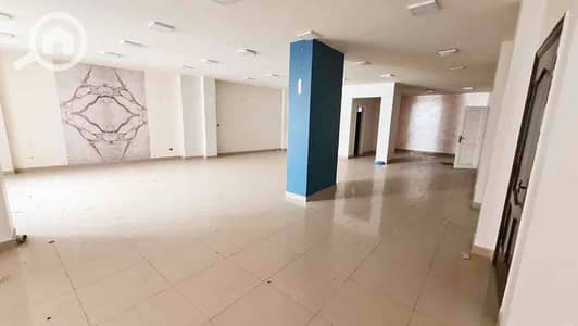 Retail for Rent in Smoha, Alexandria - 061cd8b3-73c7-4ef0-b998-717e5949343d. jpg