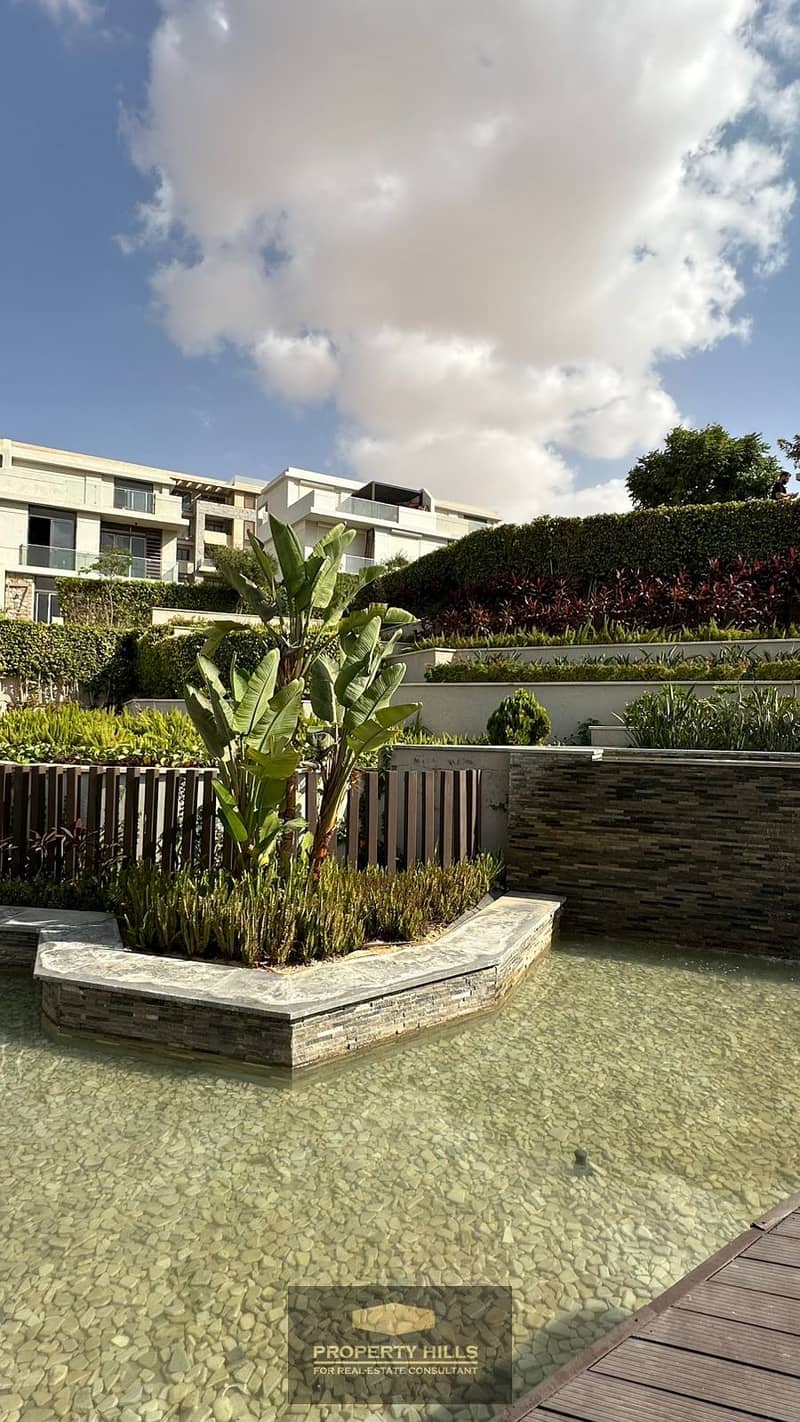 5 42bbdb50-ec93-4f56-9306-d4538ea06427. JPG