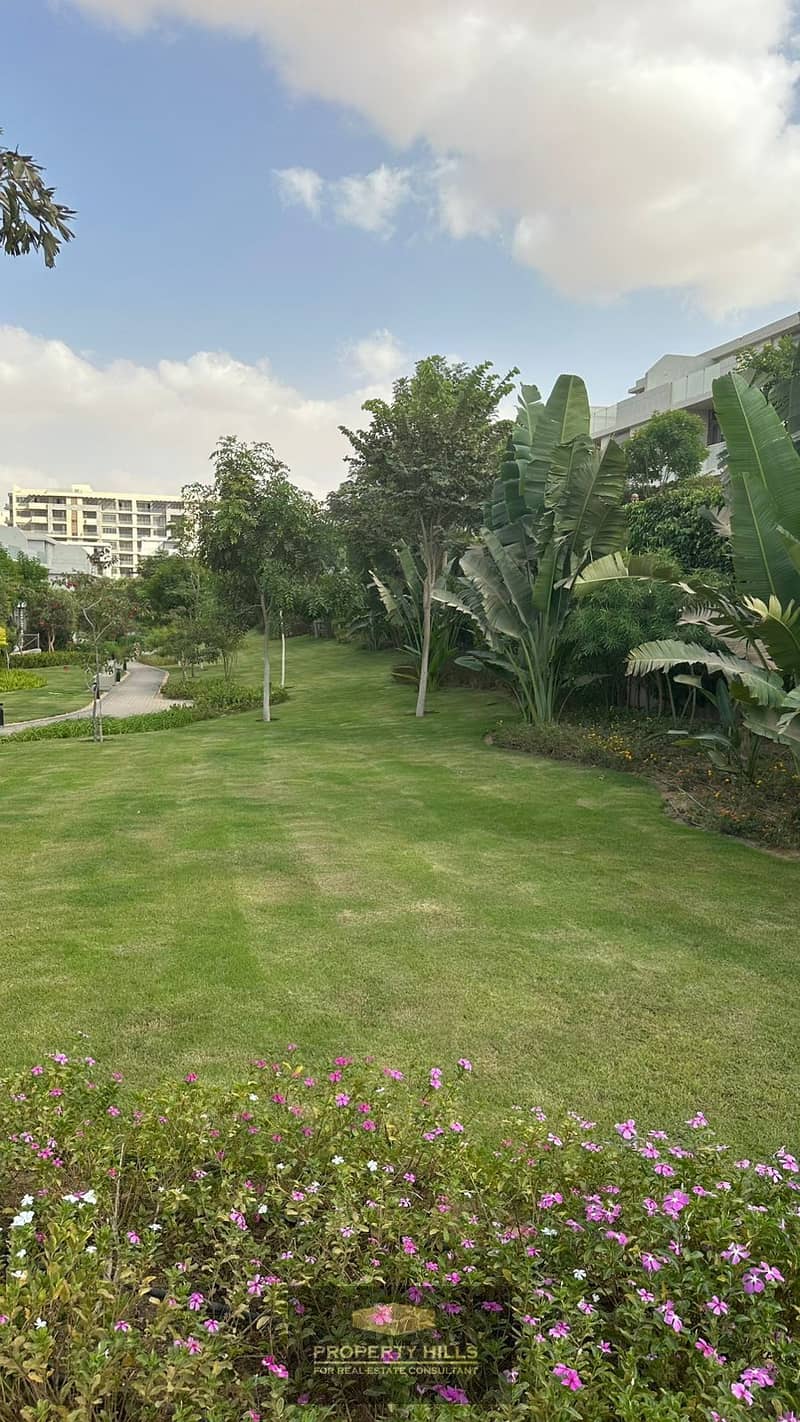 8 3dde11b2-e4cc-4c05-b10a-dfd8ff7d658a. JPG