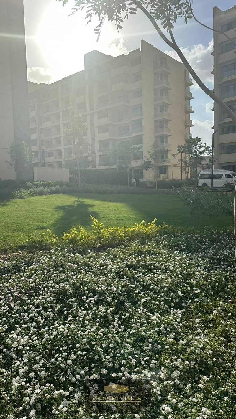 22 5667dfe8-62b6-46e5-869f-9c0ce19f1263. JPG