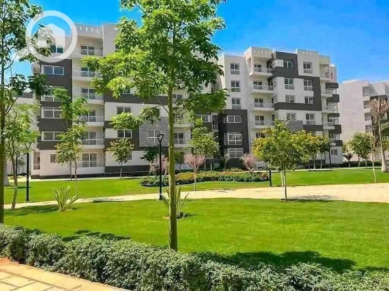 IMG_7054. jpg IMG_7054. jpg