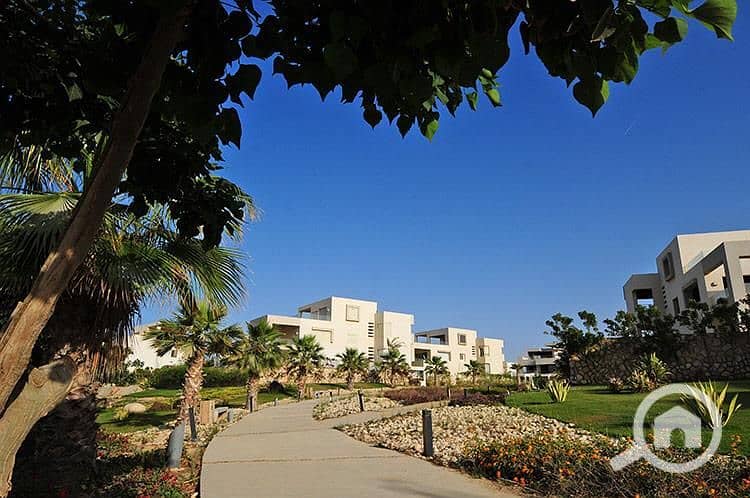 7 WhatsApp Image 2026-01-27 at 4.20. 42 PM. jpeg