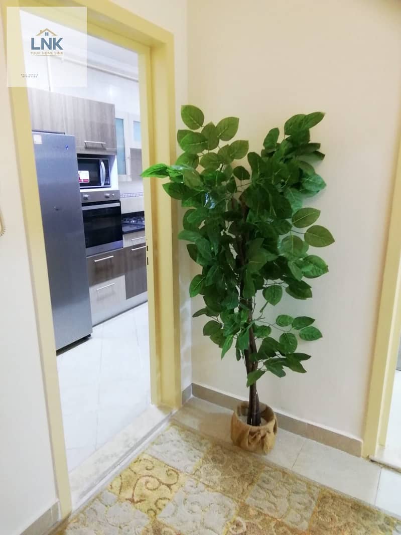 13 968d26d1-8cb3-41f3-b5bb-4993849b63f8. jpg