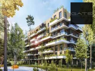 3 Bedroom Apartment for Sale in Mostakbal City, Cairo - download (6). jpg