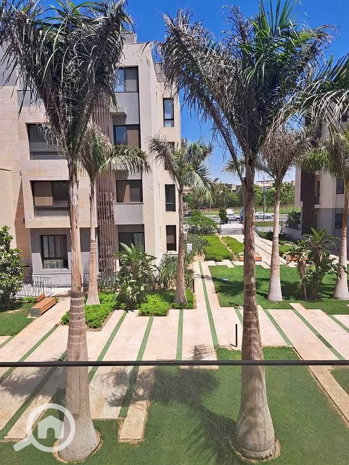 9 462109143_560203936454976_7161288029657834620_n. jpg