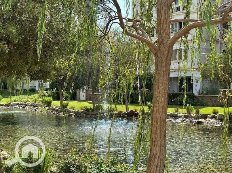 4 IMG-20240512-WA0150. jpg