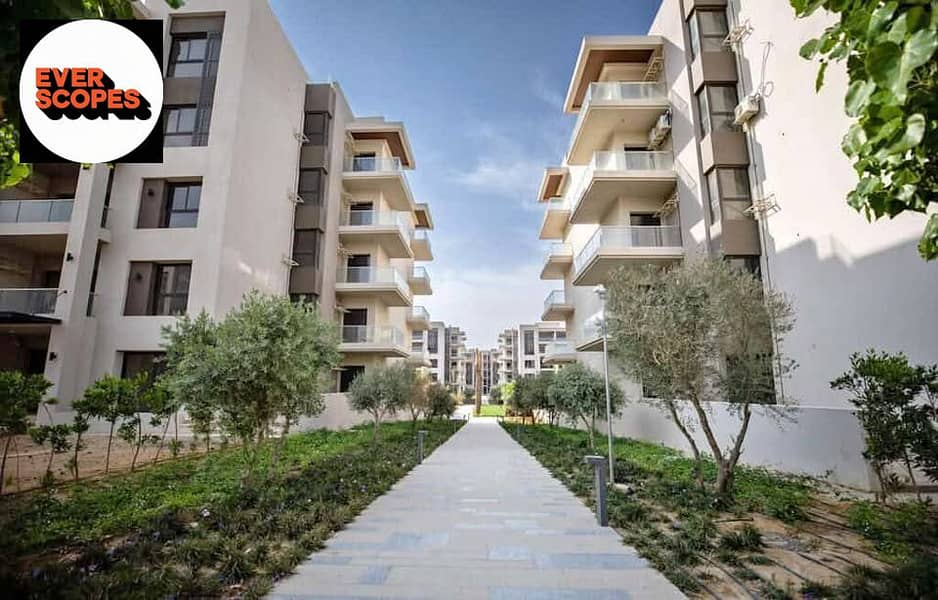 11 560049117_122126857784965801_3621768664148937436_n. jpg