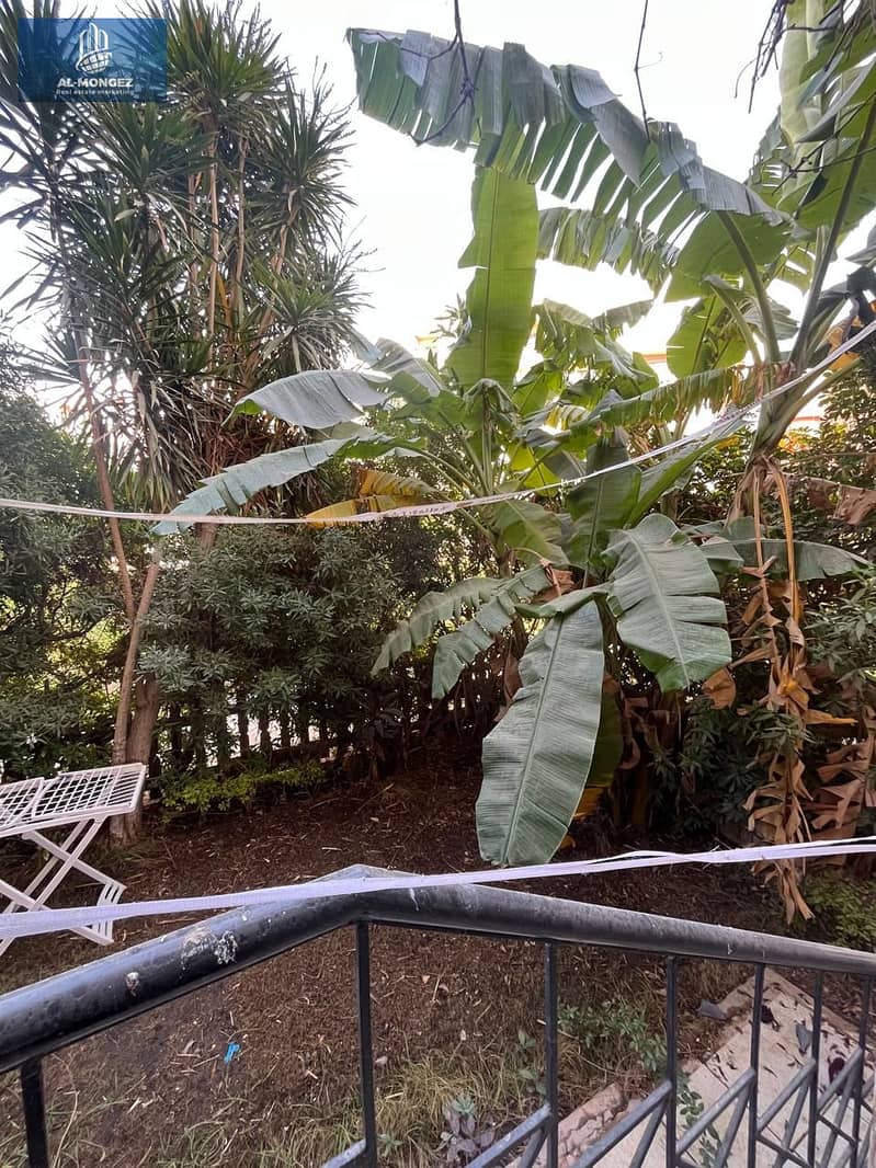 5 b6081321-2d63-4962-b3fa-75dbbd2c3285. jpg