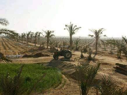 3 WhatsApp Image 2026-01-27 at 4.39. 18 PM (2). jpeg