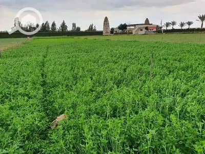 أرض تجارية  للبيع في 6 أكتوبر، الجيزة - WhatsApp Image 2026-01-27 at 4.39. 18 PM. jpeg