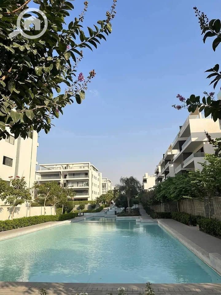 6 527734465_1803142557276411_8170546877962000231_n. jpg