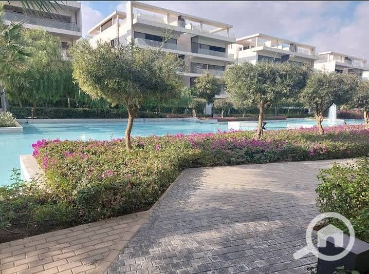 7 528815641_737171522565566_6352284647387589000_n. jpg