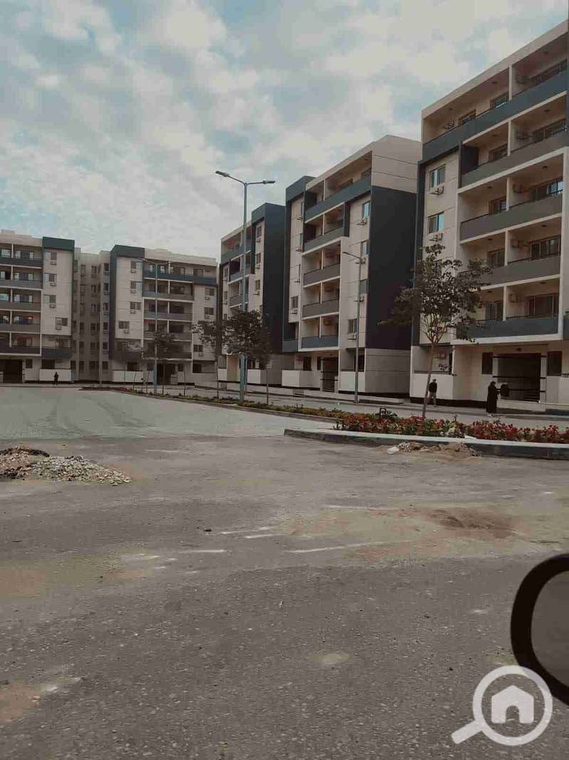 1000020113. jpg 1000020113. jpg