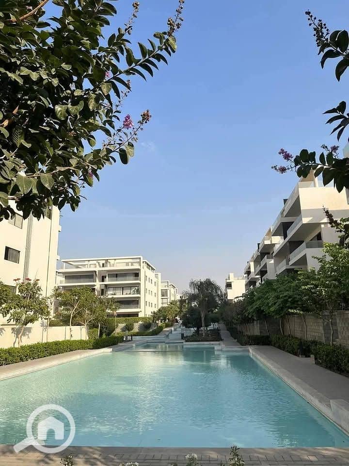 6 527734465_1803142557276411_8170546877962000231_n. jpg