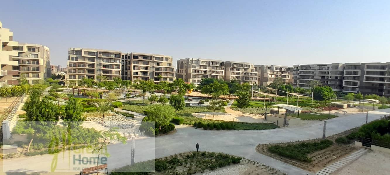 6 20250725_174053. jpg