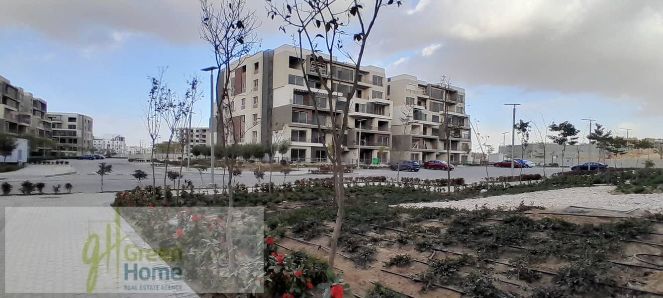 3 20260109_155516. jpg