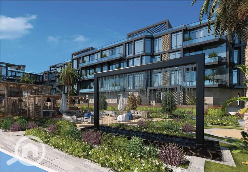 4 photo_4_2024-12-05_00-17-27. jpg