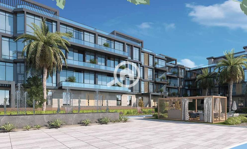 12 photo_3_2024-12-05_00-17-27. jpg