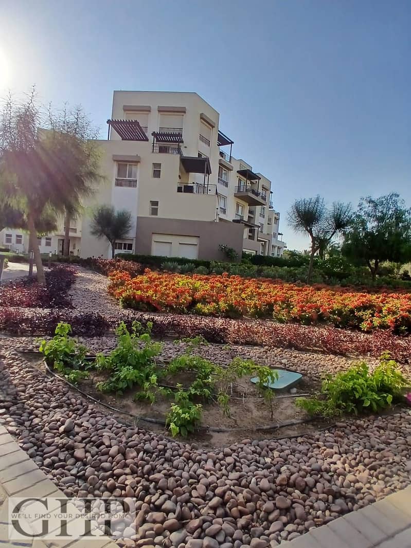 7 6fff84fd-5745-47a7-9e41-d92c25e255f9. jpg