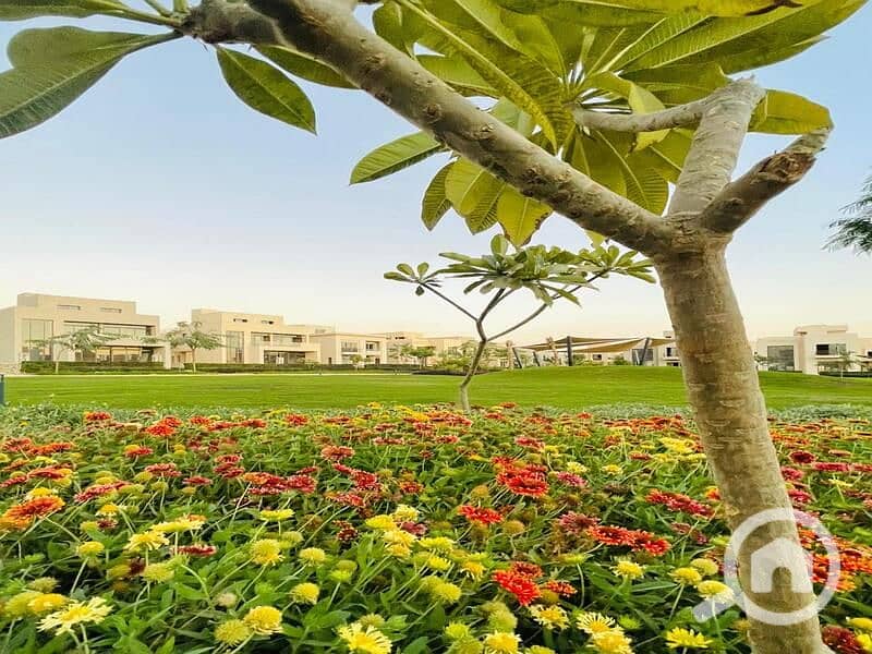 4 IMG-20250320-WA0085. jpg