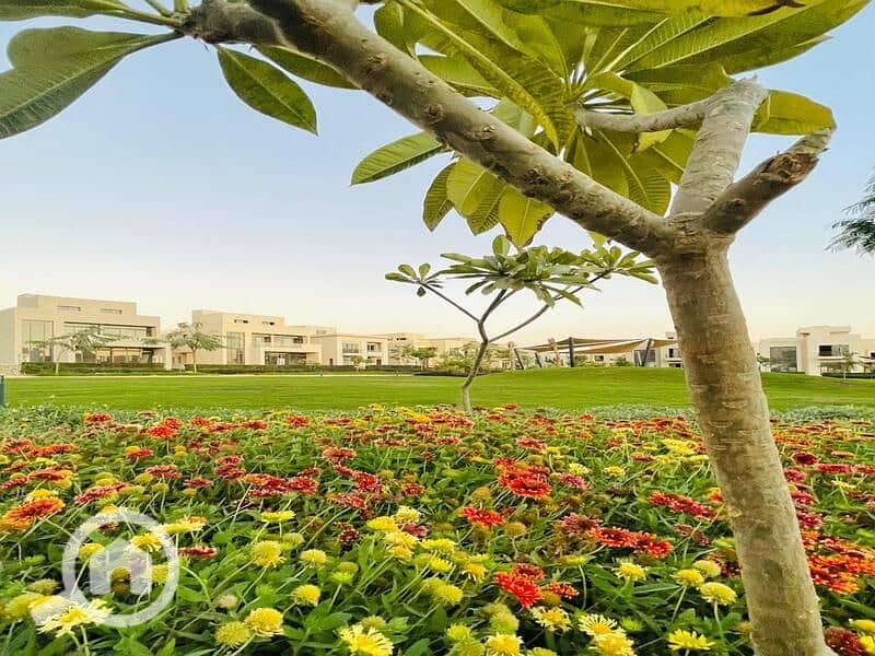 4 IMG-20250320-WA0085. jpg