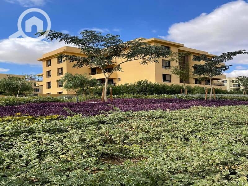 13 IMG-20250320-WA0103. jpg