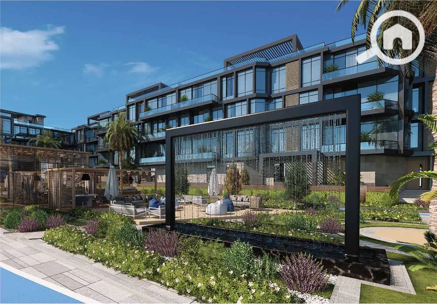 10 photo_4_2024-12-05_00-17-27. jpg