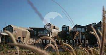 9 Screenshot_13-7-2025_12428_. jpeg