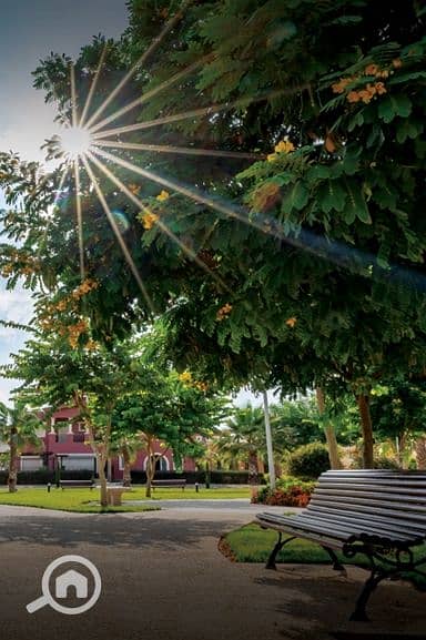 11 Screenshot_8-1-2026_163638_. jpeg