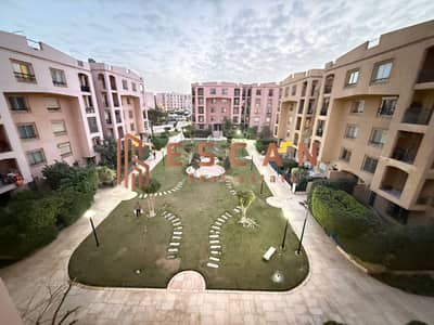 شقة 3 غرف نوم للبيع في القاهرة الجديدة، القاهرة - WhatsApp Image 2026-01-27 at 6.02. 16 PM (3). jpeg شقة 3 غرف نوم للبيع في القاهرة الجديدة، القاهرة - WhatsApp Image 2026-01-27 at 6.02. 16 PM (3). jpeg