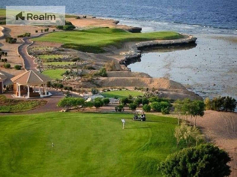 6 495625362_10162882635440842_438858241935064571_n. jpg