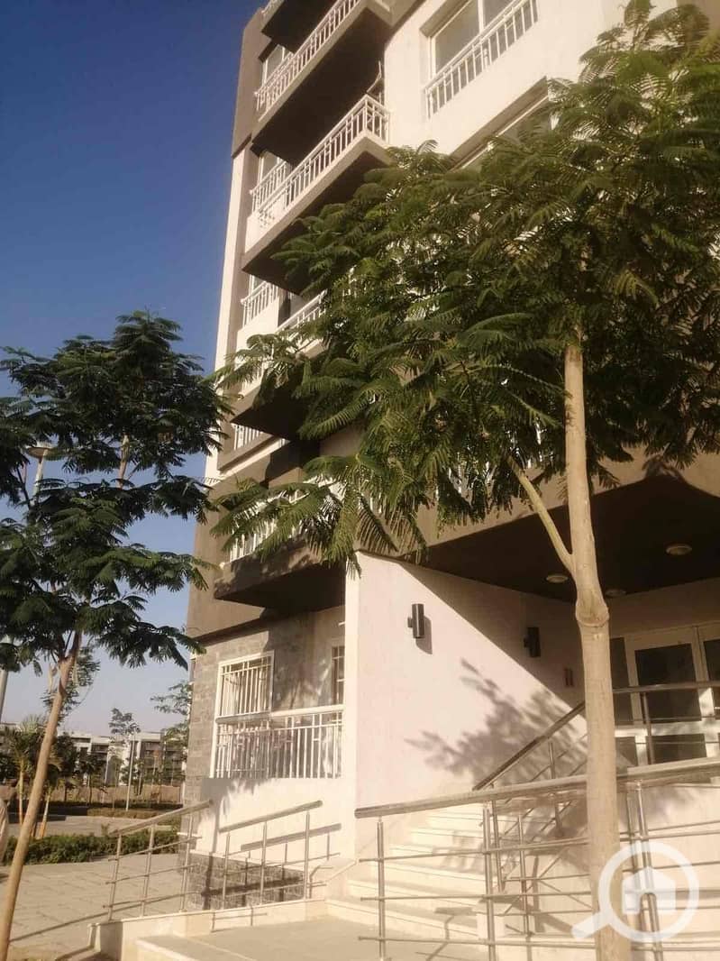 20 04bfced8-2c2a-4f84-8958-34d4e697d60f. jpg