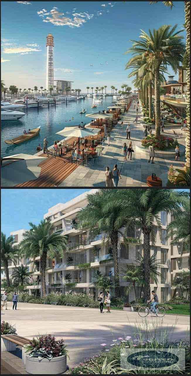 2 48786931-4217-45b9-9c7c-48e8da72f55c. jpg