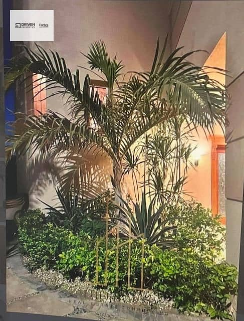 16 WhatsApp Image 2025-10-19 at 3.49. 11 PM. jpg