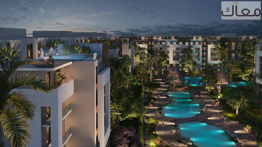 3 CAM-BIRD NIGHT. jpg