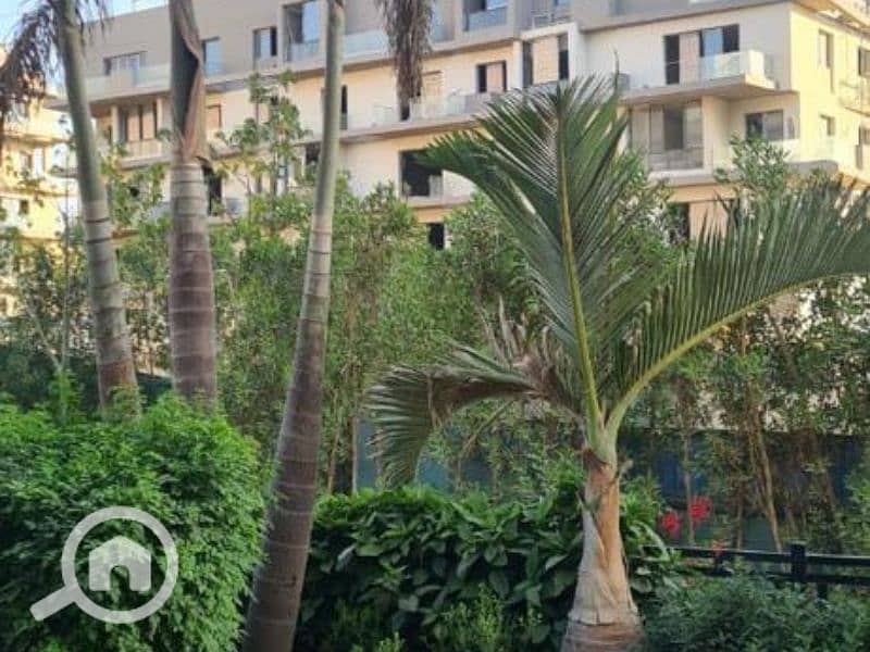 7 Untitled design (92). png