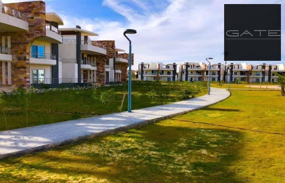 8 15c46b56-f444-4e26-a7ba-8c56daa91e2a. jpg