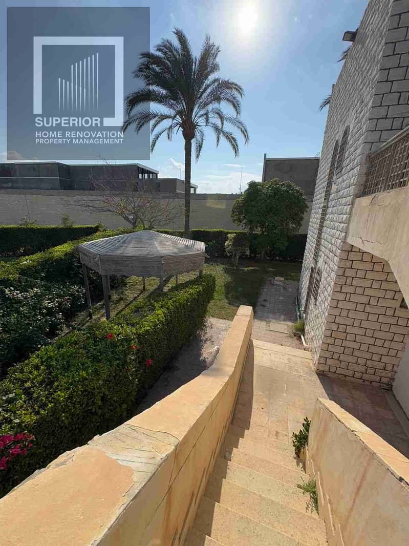 1000010369. jpg 1000010369. jpg