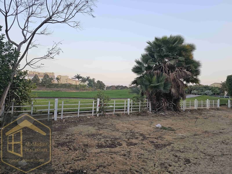 12 IMG-20260127-WA0121. jpg